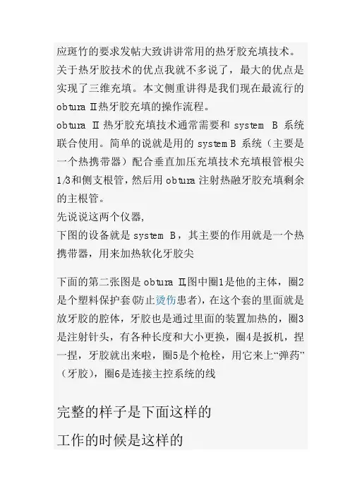 热牙胶技术