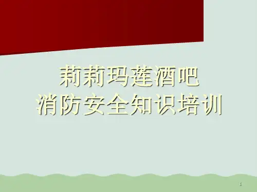某酒吧消防安全知识培训PPT(共31页)