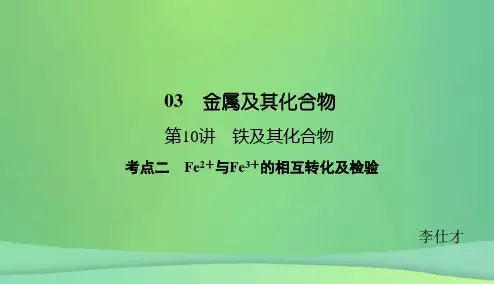 高考化学总复习 03 金属及其化合物(10)铁及其化合物(2) 新人教版