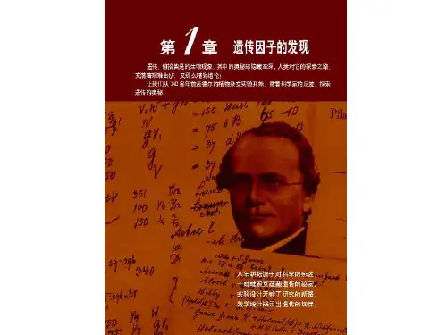 人教版高中生物必修二1.1《孟德尔的豌豆杂交实验(一)》优质课件