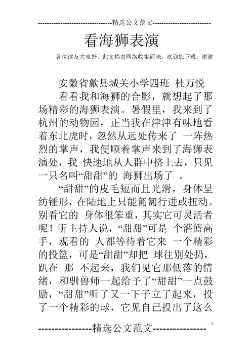 看海狮表演