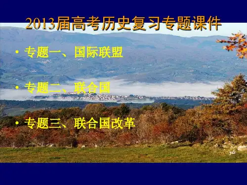 高考历史复习专题课件(国际组织)