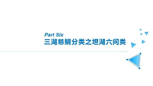 三湖慈鲷分类之坦湖六间类