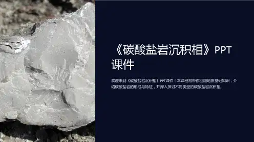 《碳酸盐岩沉积相》课件