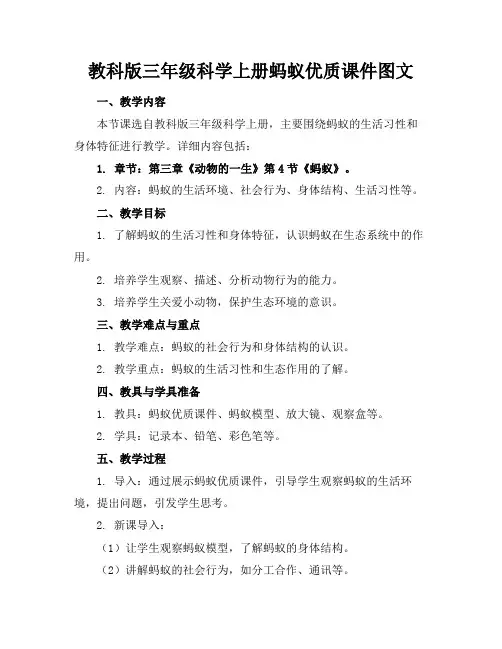 教科版三年级科学上册蚂蚁优质课件图文