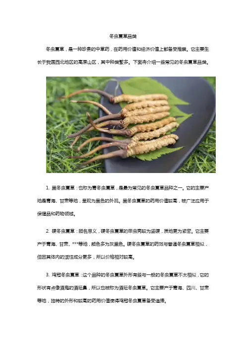 冬虫夏草品类
