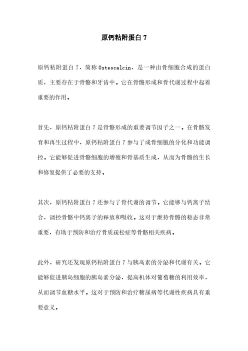 原钙粘附蛋白7
