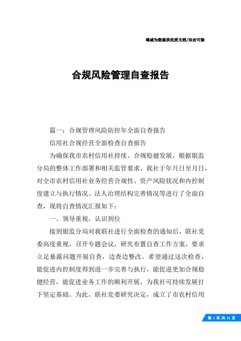 合规风险管理自查报告