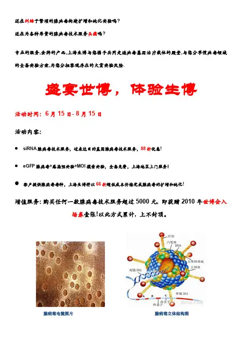 还在纠结于繁琐的腺病毒构建扩增和纯化实验吗？