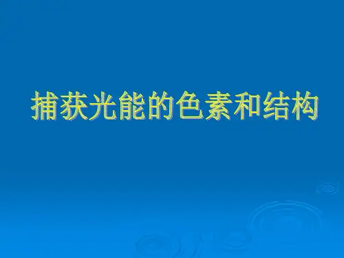 高一生物 捕获光能的色素和结构ppt