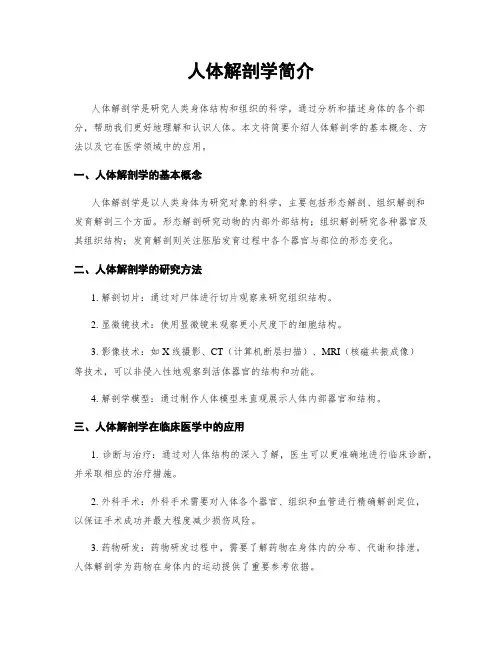 人体解剖学简介
