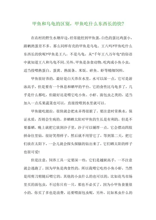 甲鱼和乌龟的区别,甲鱼吃什么东西长的快-