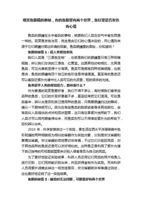 观赏鱼眼睛的奥秘，有的鱼眼里有两个世界，鱼缸里是否发色看心情