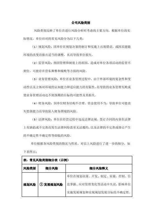 公司风险类别