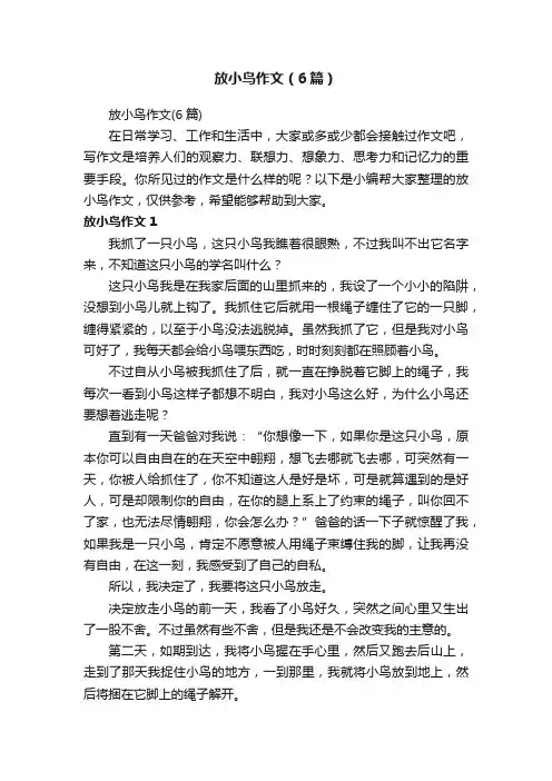 放小鸟作文（6篇）