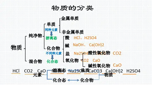 【课件】元素与物质分类 课件高一化学鲁科版(2019)必修一