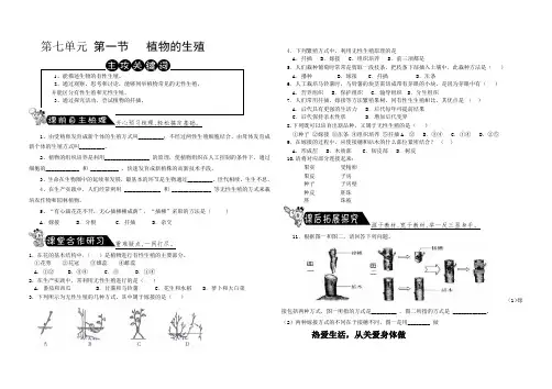 人教版八年级下册第一章第一节 植物的生殖导学案设计(无答案)