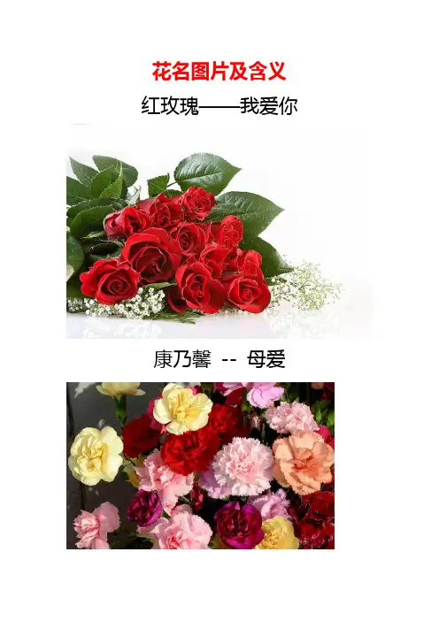 花名图片及含义