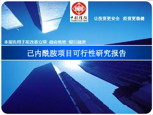 己内酰胺项目可行性研究报告