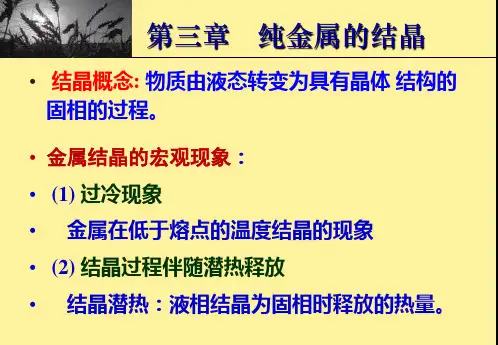 第三章 纯金属的结晶