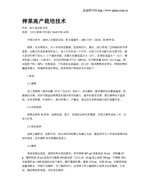 榨菜高产栽培技术