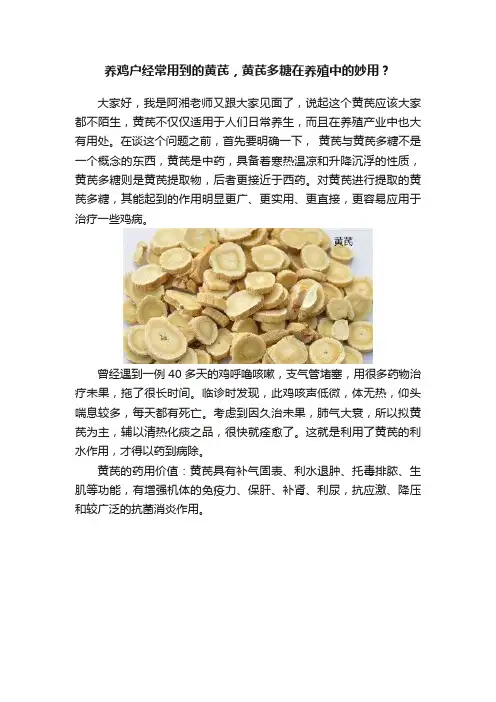 养鸡户经常用到的黄芪，黄芪多糖在养殖中的妙用？