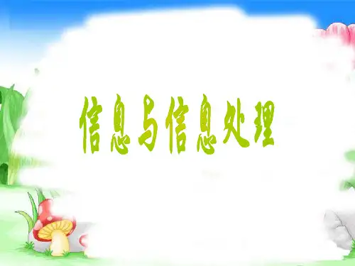 信息与信息处理