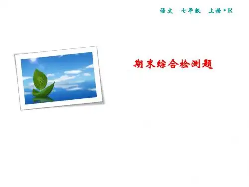 2019秋人教部编版七年级语文上册课件：期末综合检测题 (共31张PPT)