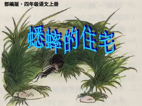 最新部编人教版四年级语文上册第11课《蟋蟀的住宅》(优秀公开课课件)