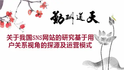关于我国SNS网站的研究基于用户关系视角的探源及运营模式