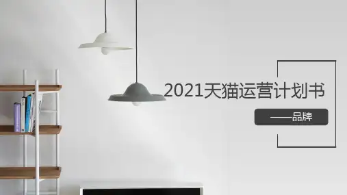 天猫上线品牌运营计划书