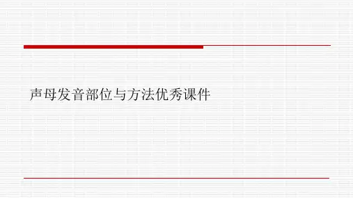 声母发音部位与方法优秀课件