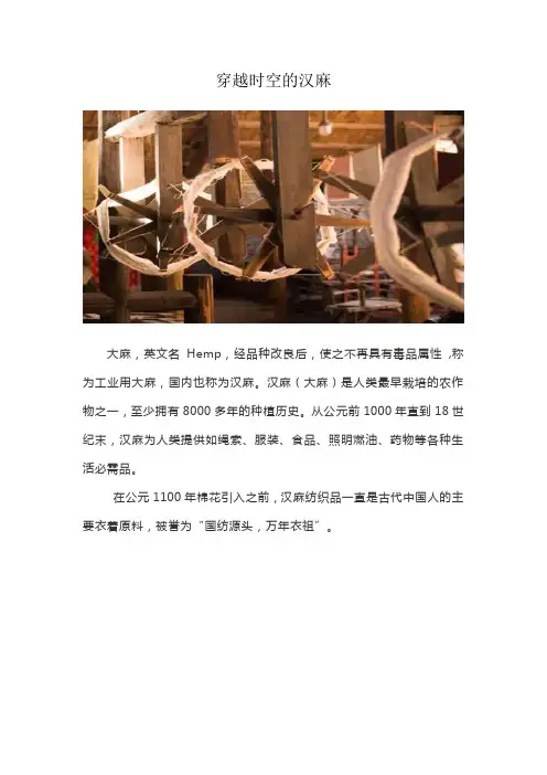 穿越时空的汉麻