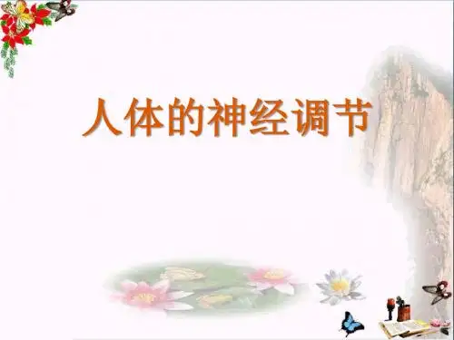 苏教版生物七年级下册12.2《人体的神经调节》ppt课件
