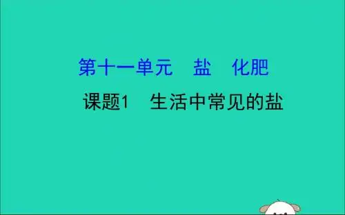 2019版九年级化学下册第十一单元盐化肥11.1生活中常见的盐教学课件(新版)新人教版