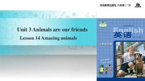 初中冀教版英语八年级下册【教学课件】Unit 3 Lesson 14