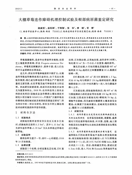 大棚草莓连作障碍机理控制试验及根部病原菌鉴定研究