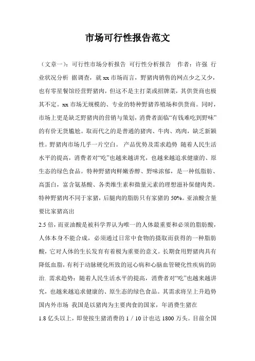 市场可行性报告范文