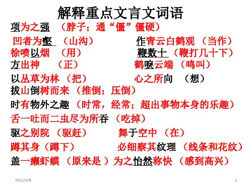 文言文词语解释PPT课件