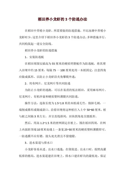 稻田养小龙虾的3个防逃办法