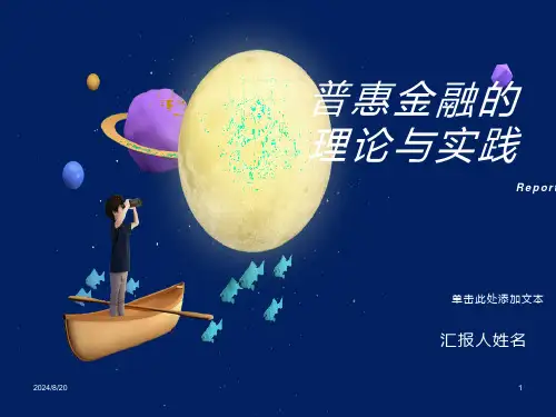 普惠金融的理论与实践
