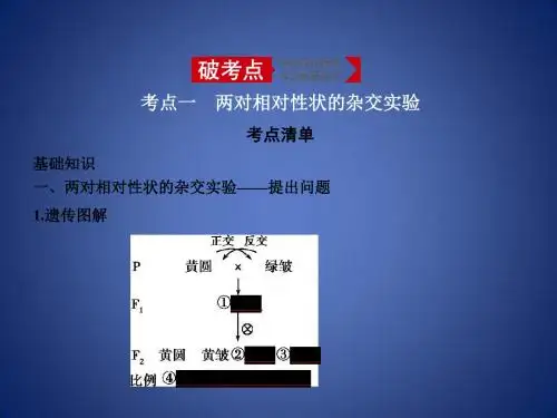 高考生物二轮复习 专题12 基因的自由组合定律课件