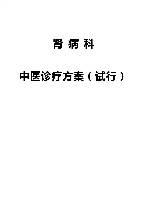中医诊疗方案肾病科