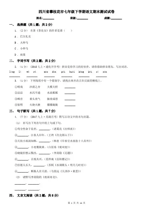 四川省攀枝花市七年级下学期语文期末测试试卷