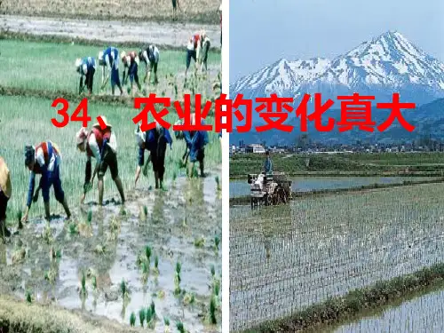 34农业的变化真大PPT课件