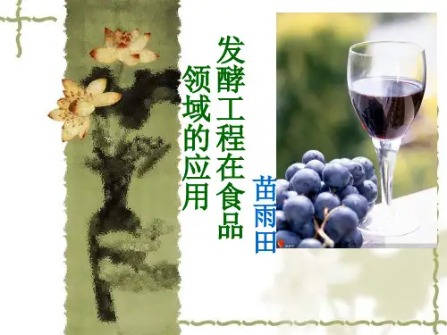 发酵工程在食品中的应用