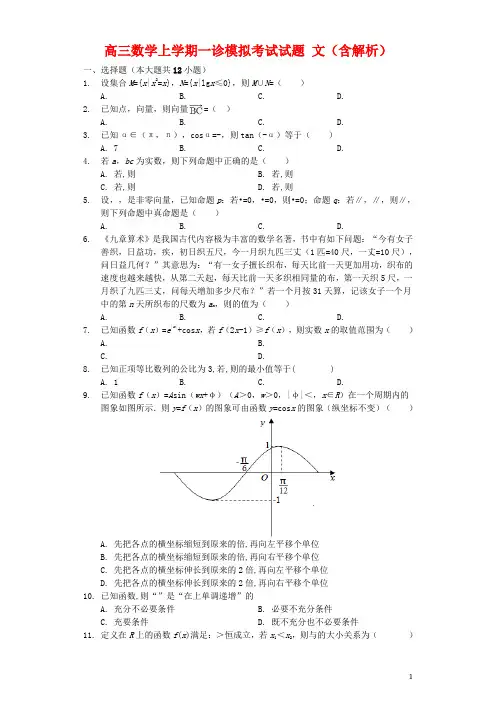 2020届高三数学上学期一诊模拟考试试题文(含解析)