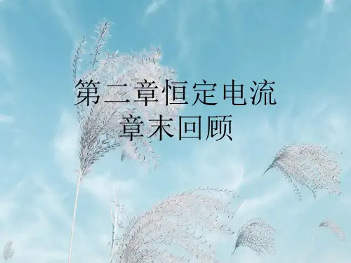 恒定电流PPT教学课件
