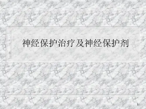 神经保护剂PPT幻灯片课件