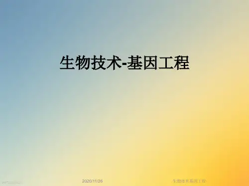 生物技术基因工程